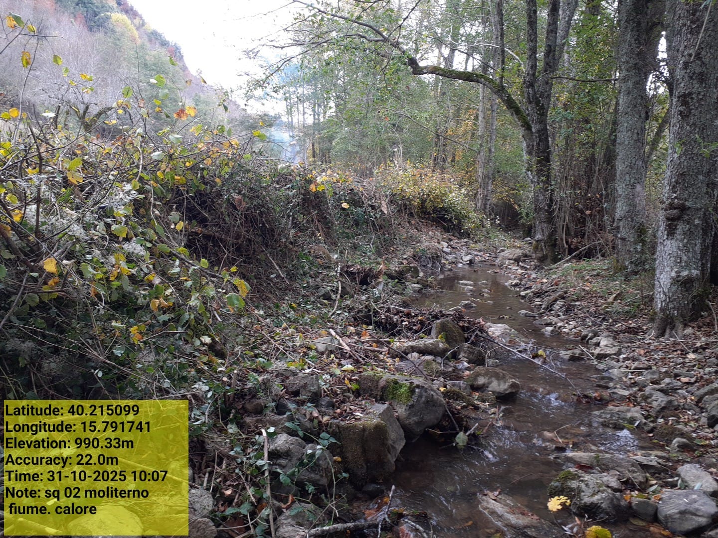 Galleria Fotografica Immagine