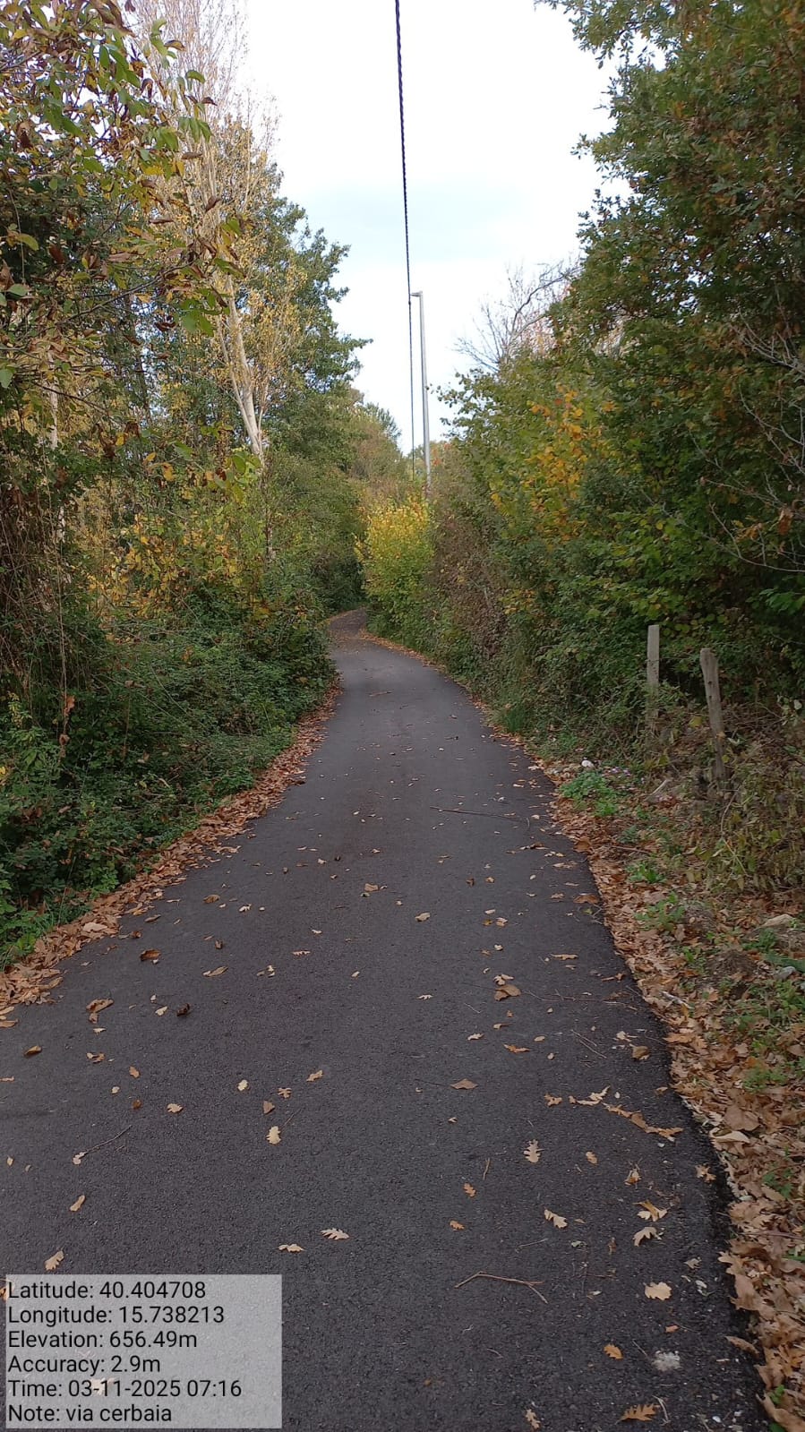 Galleria Fotografica Immagine