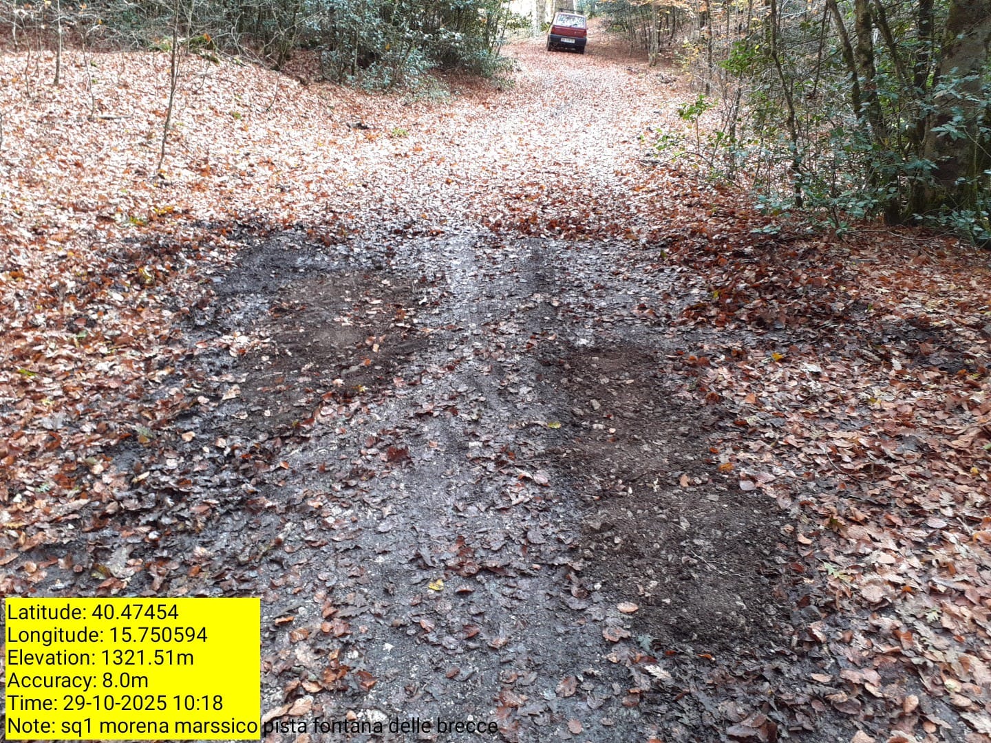 Galleria Fotografica Immagine