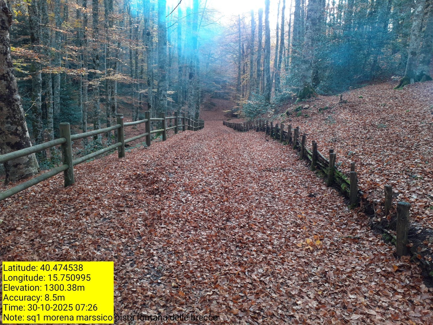 Galleria Fotografica Immagine