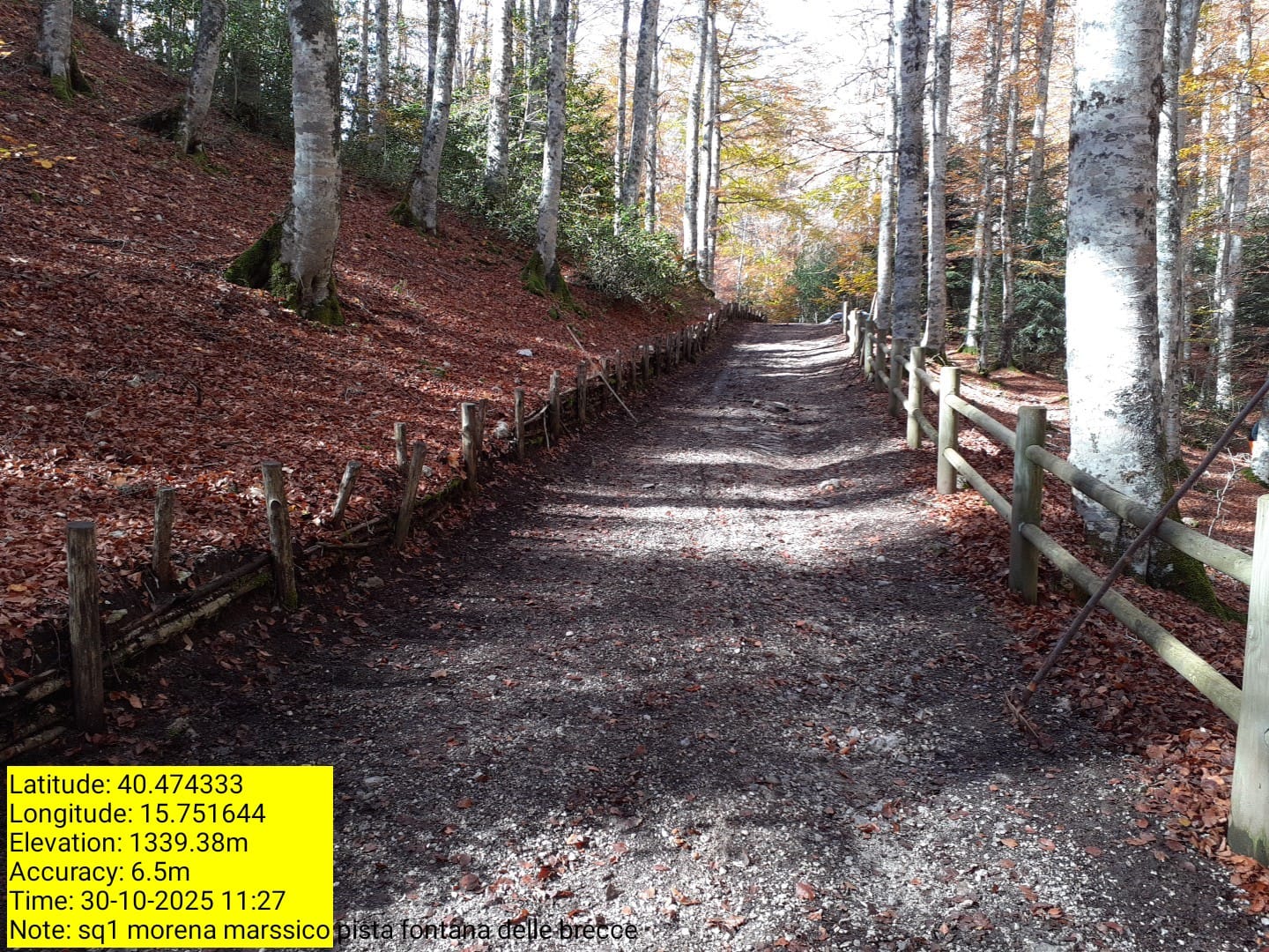 Galleria Fotografica Immagine