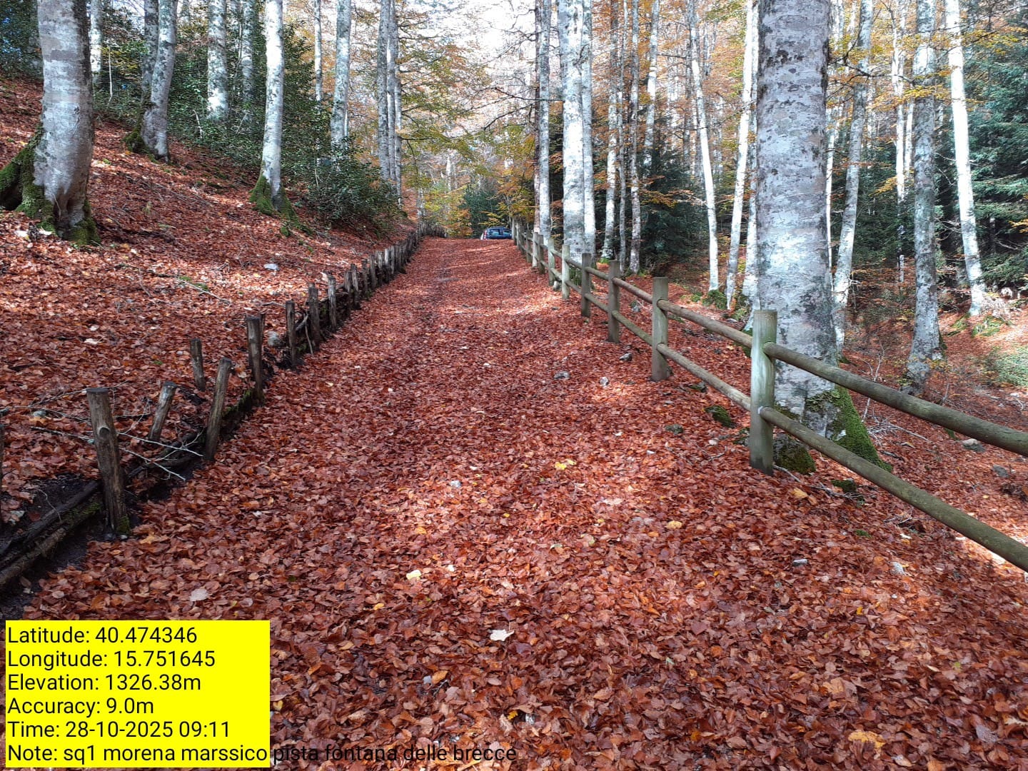 Galleria Fotografica Immagine