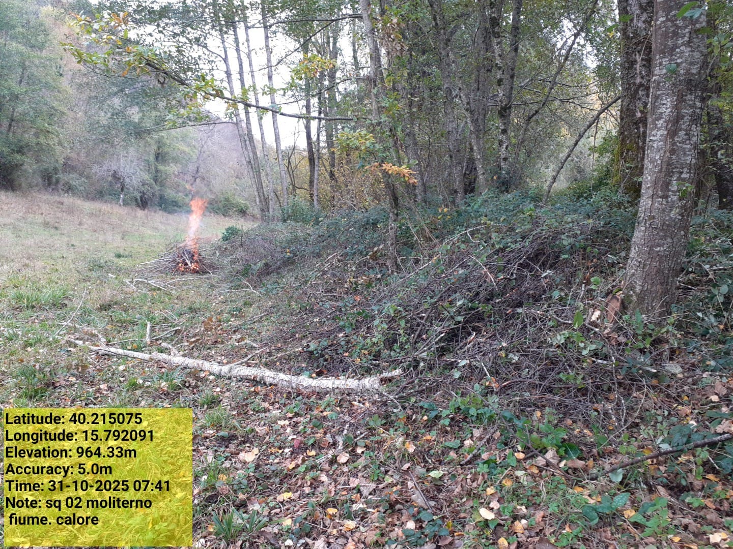 Galleria Fotografica Immagine