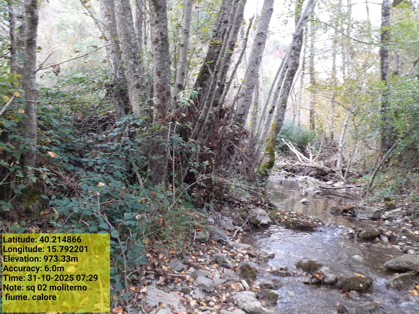 Galleria Fotografica Immagine