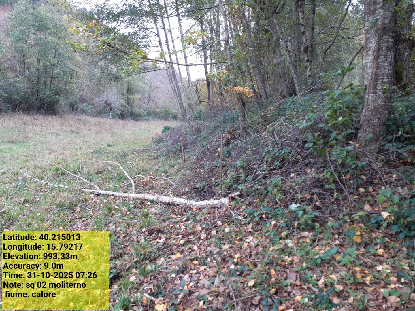 Galleria Fotografica Immagine