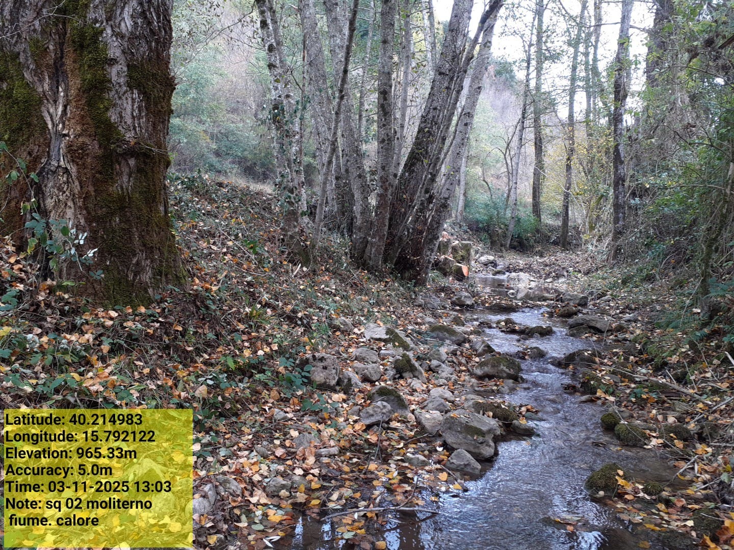 Galleria Fotografica Immagine