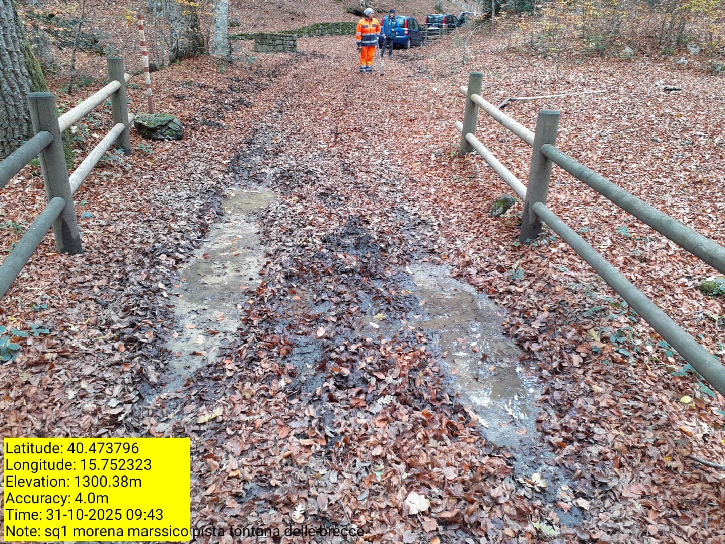 Galleria Fotografica Immagine