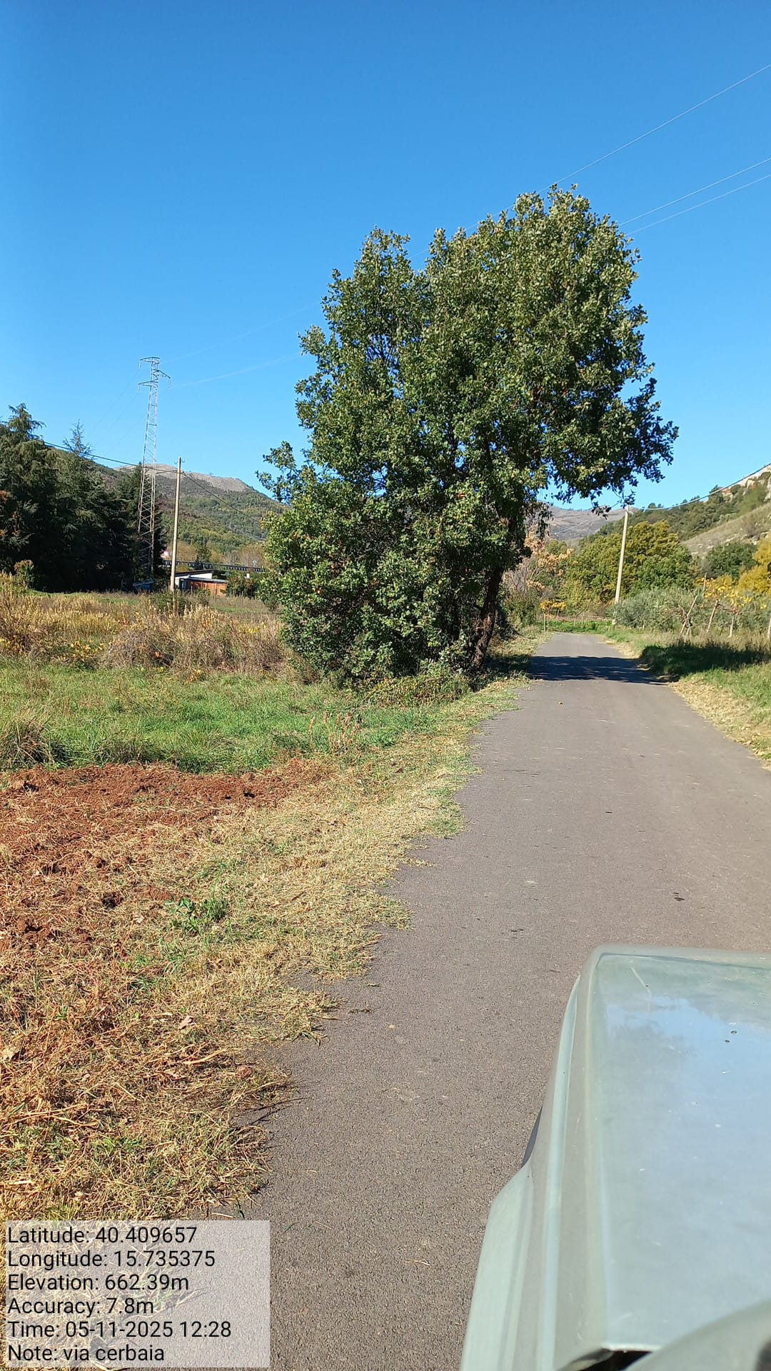 Galleria Fotografica Immagine