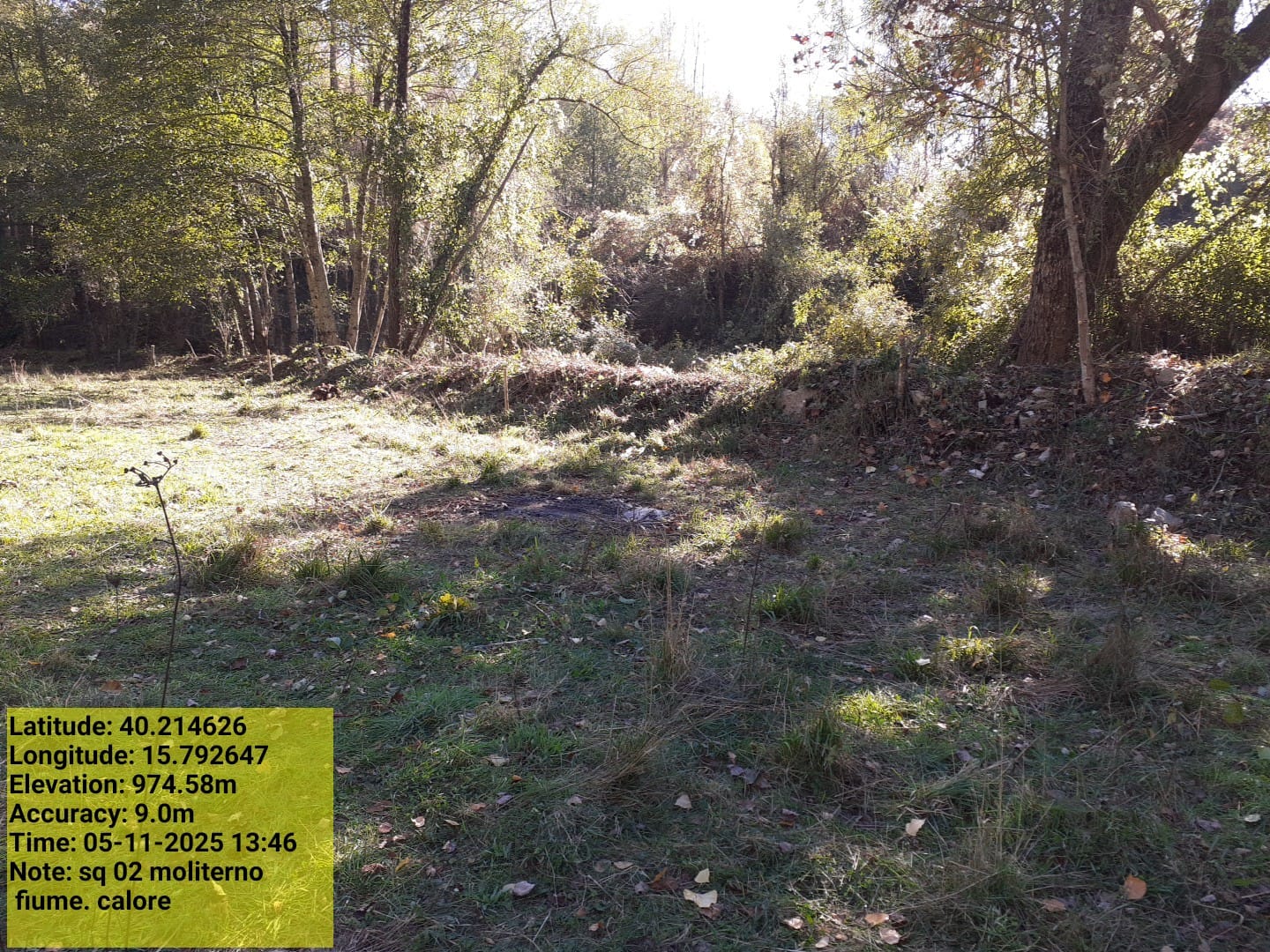 Galleria Fotografica Immagine