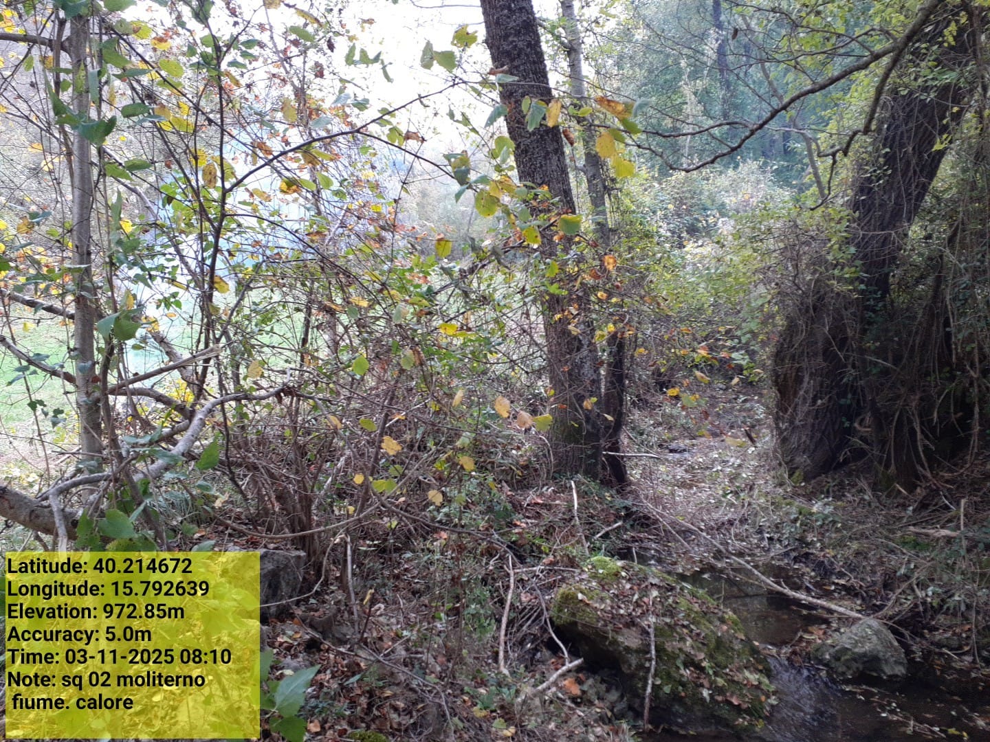 Galleria Fotografica Immagine