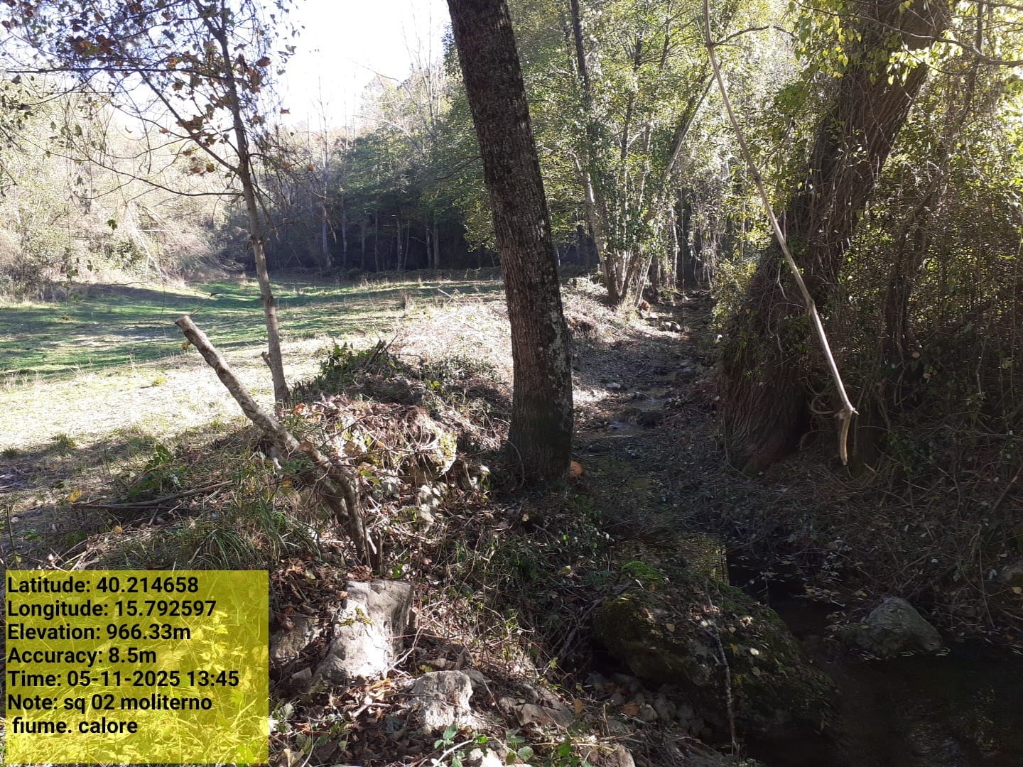 Galleria Fotografica Immagine