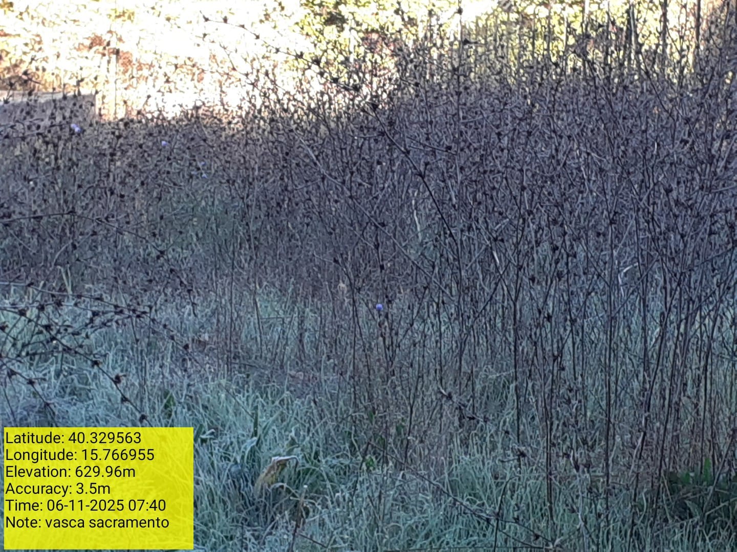 Galleria Fotografica Immagine