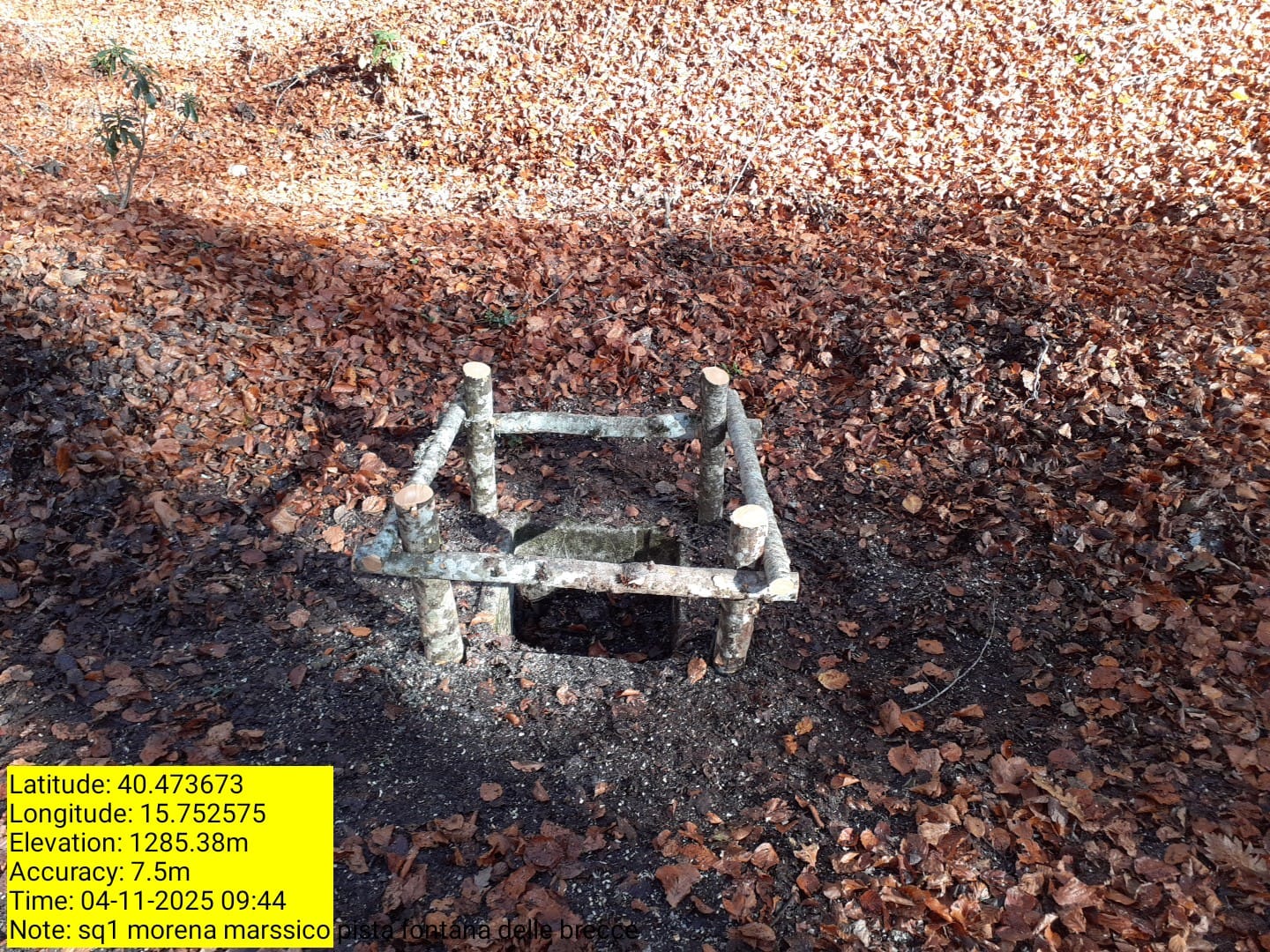 Galleria Fotografica Immagine