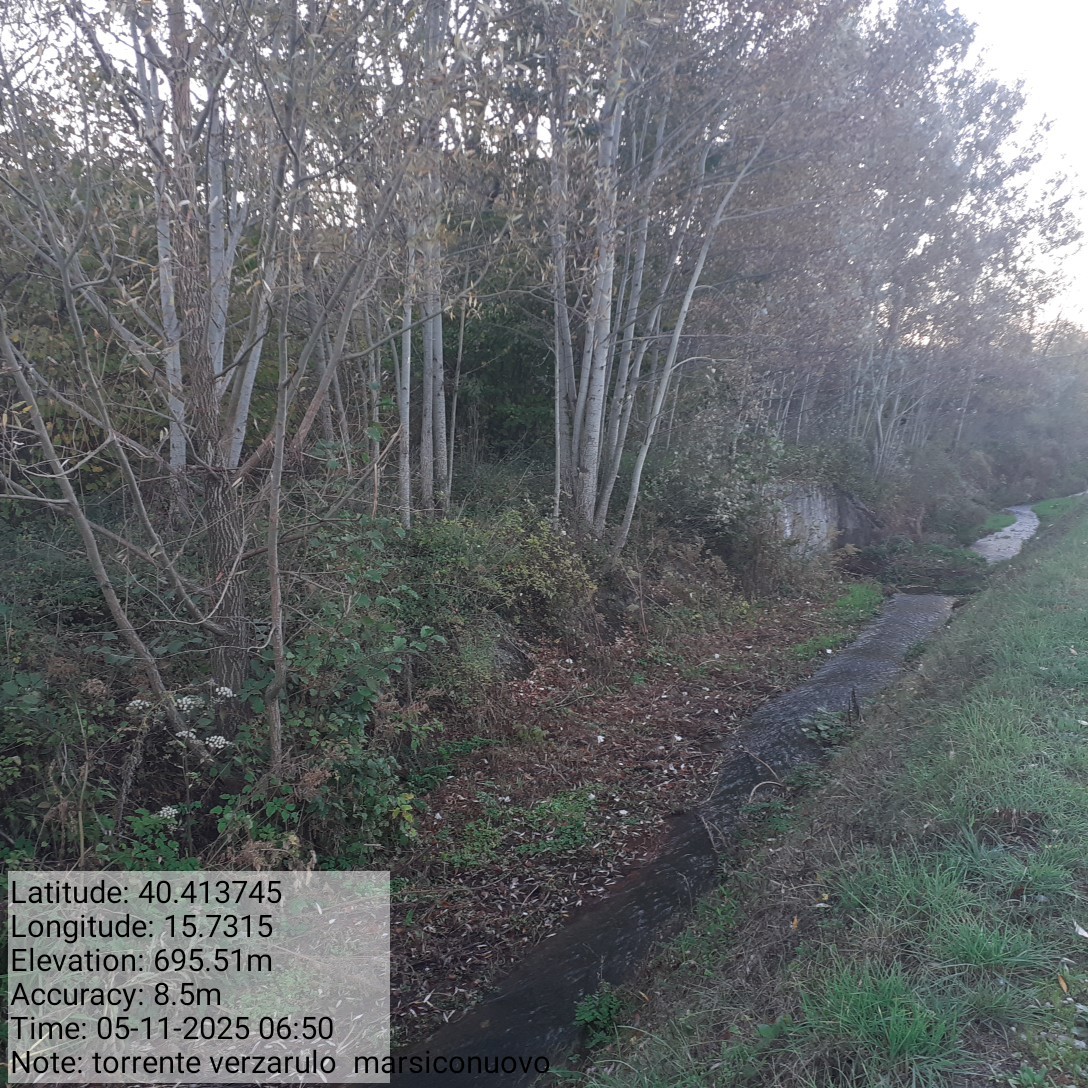 Galleria Fotografica Immagine