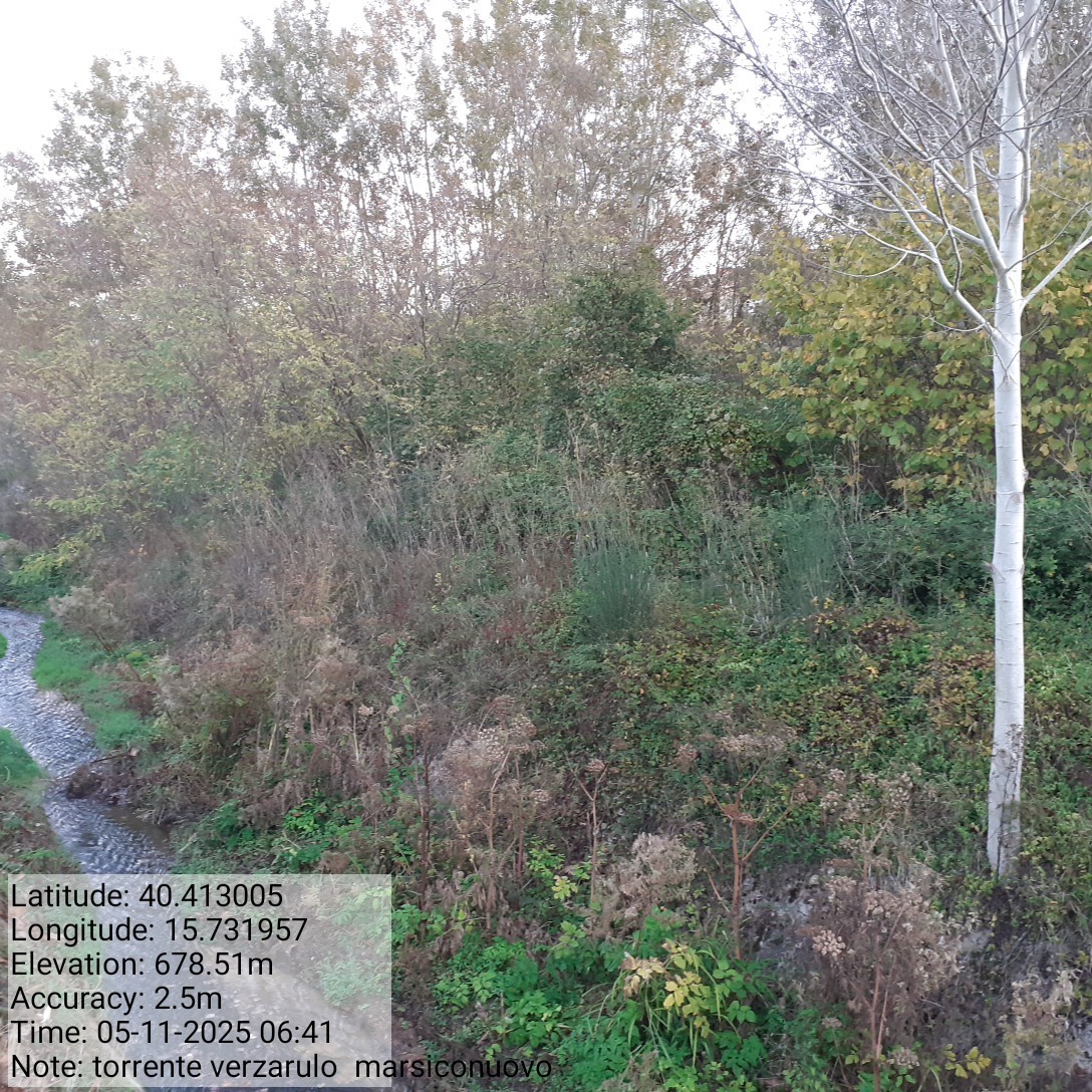 Galleria Fotografica Immagine