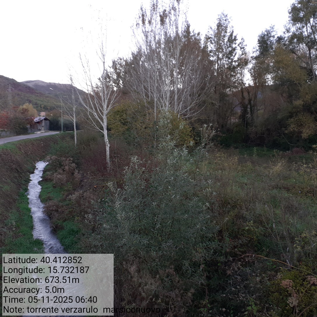 Galleria Fotografica Immagine