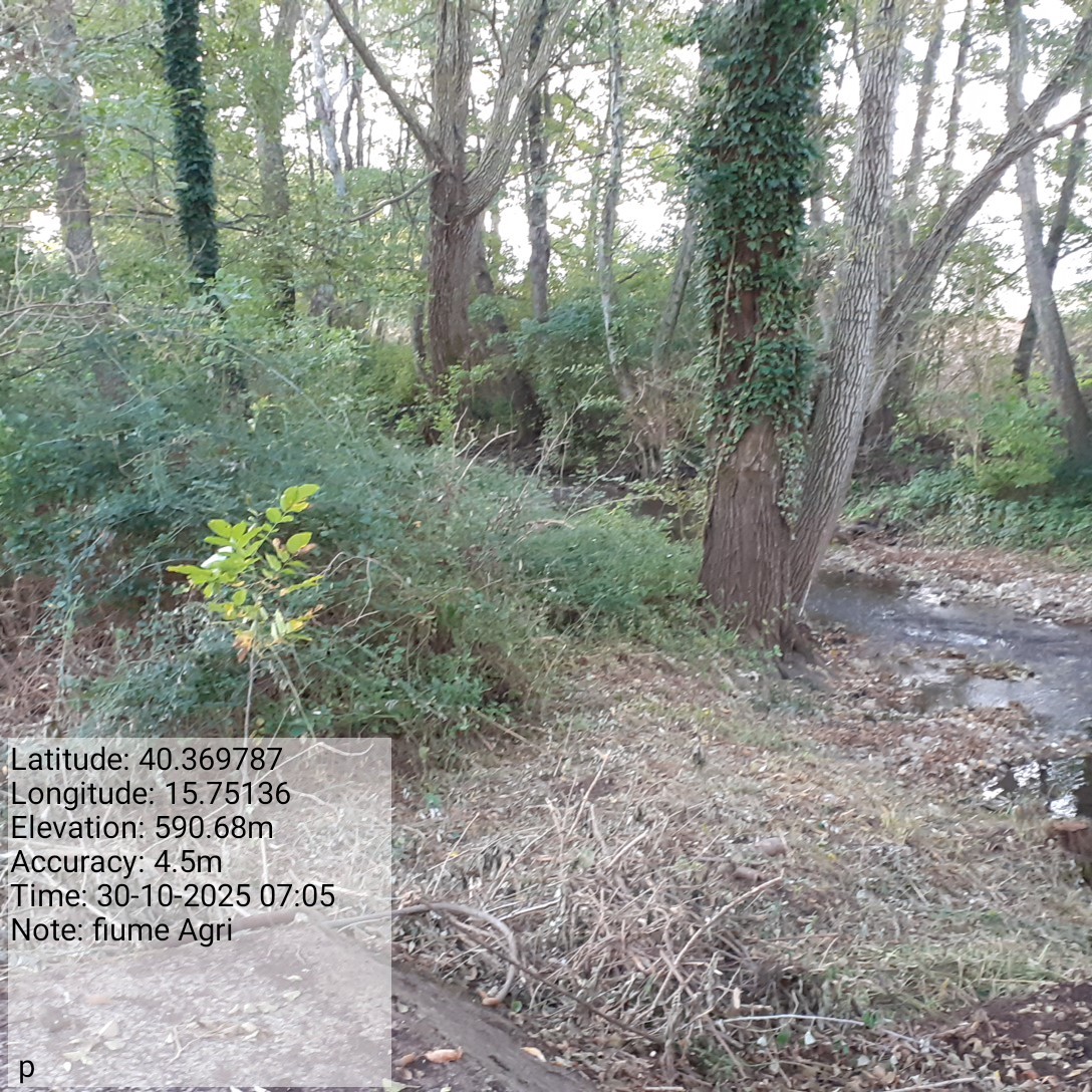 Galleria Fotografica Immagine