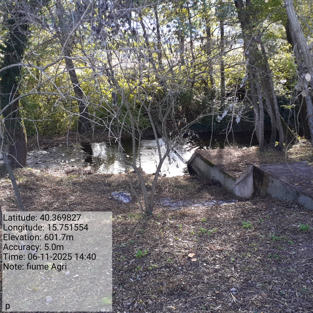 Galleria Fotografica Immagine