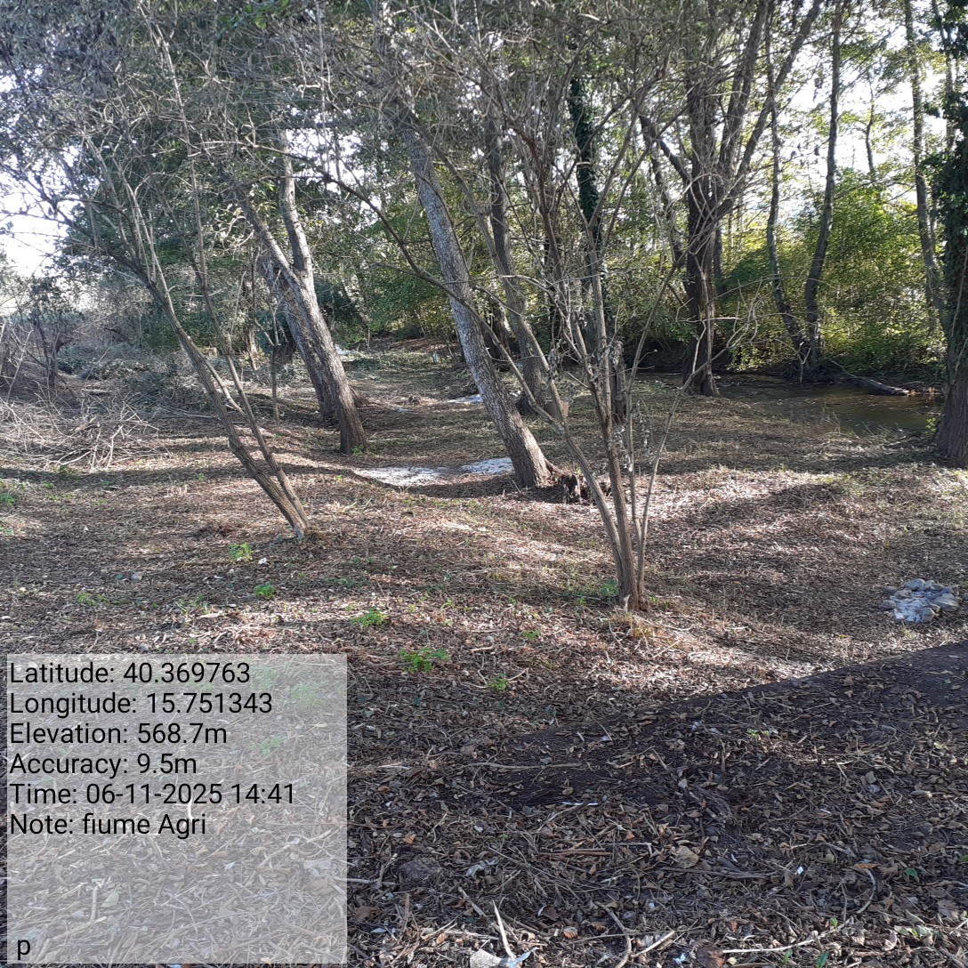 Galleria Fotografica Immagine