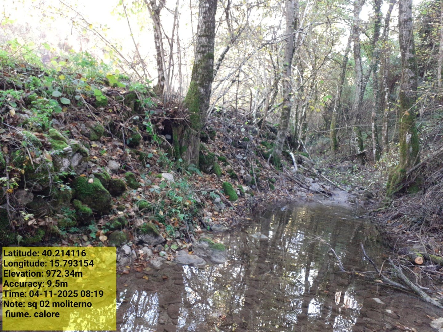 Galleria Fotografica Immagine