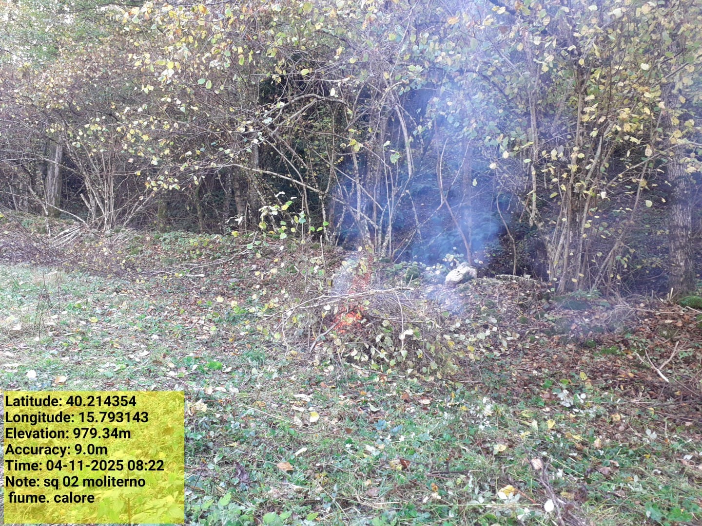 Galleria Fotografica Immagine