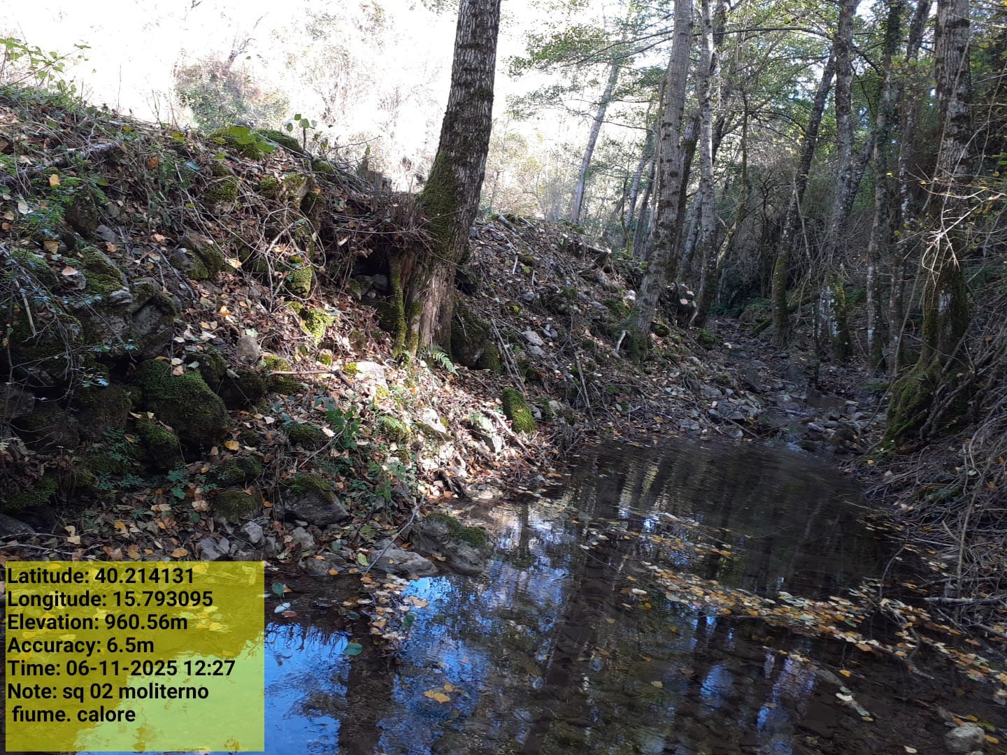 Galleria Fotografica Immagine