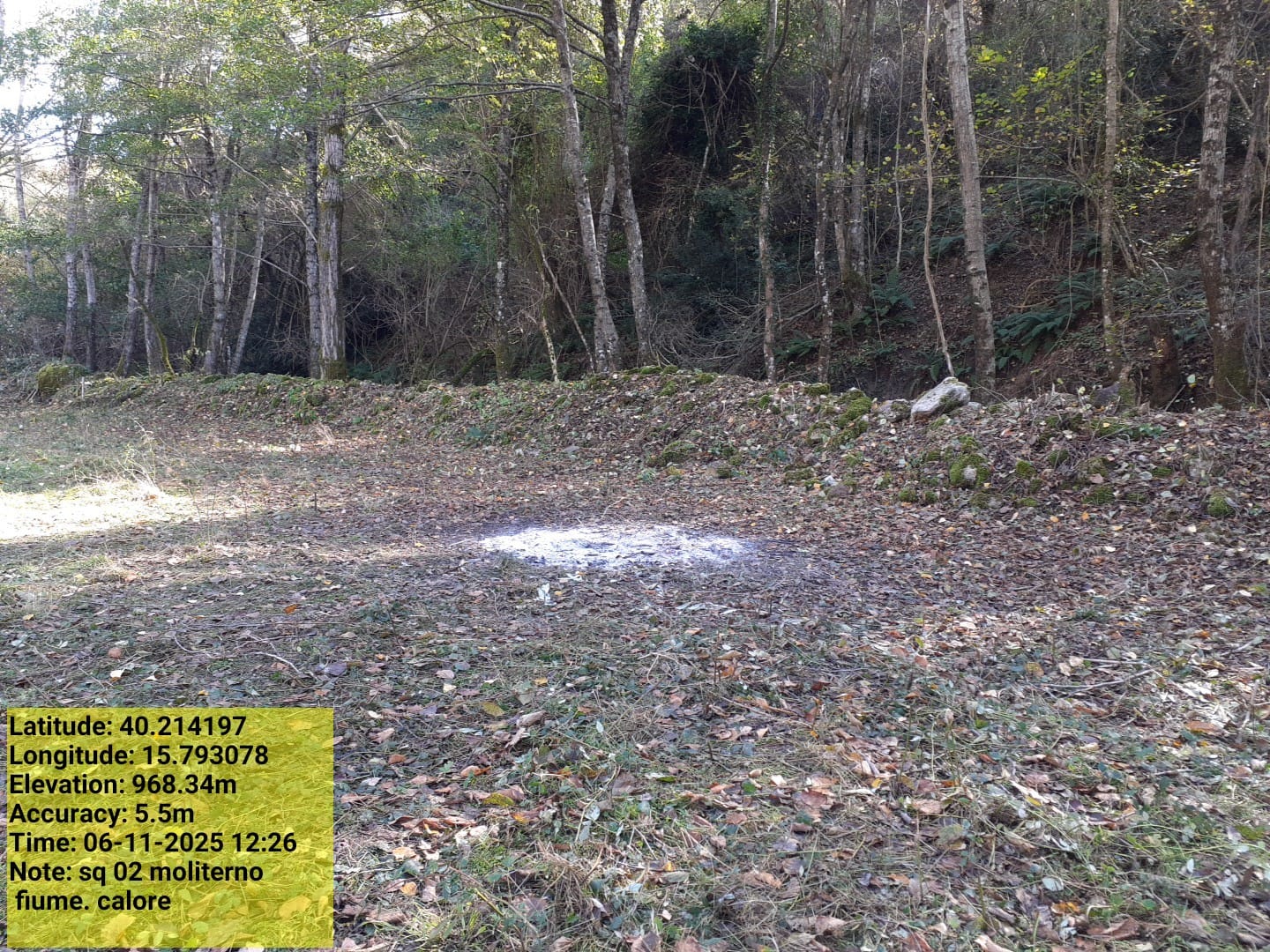 Galleria Fotografica Immagine