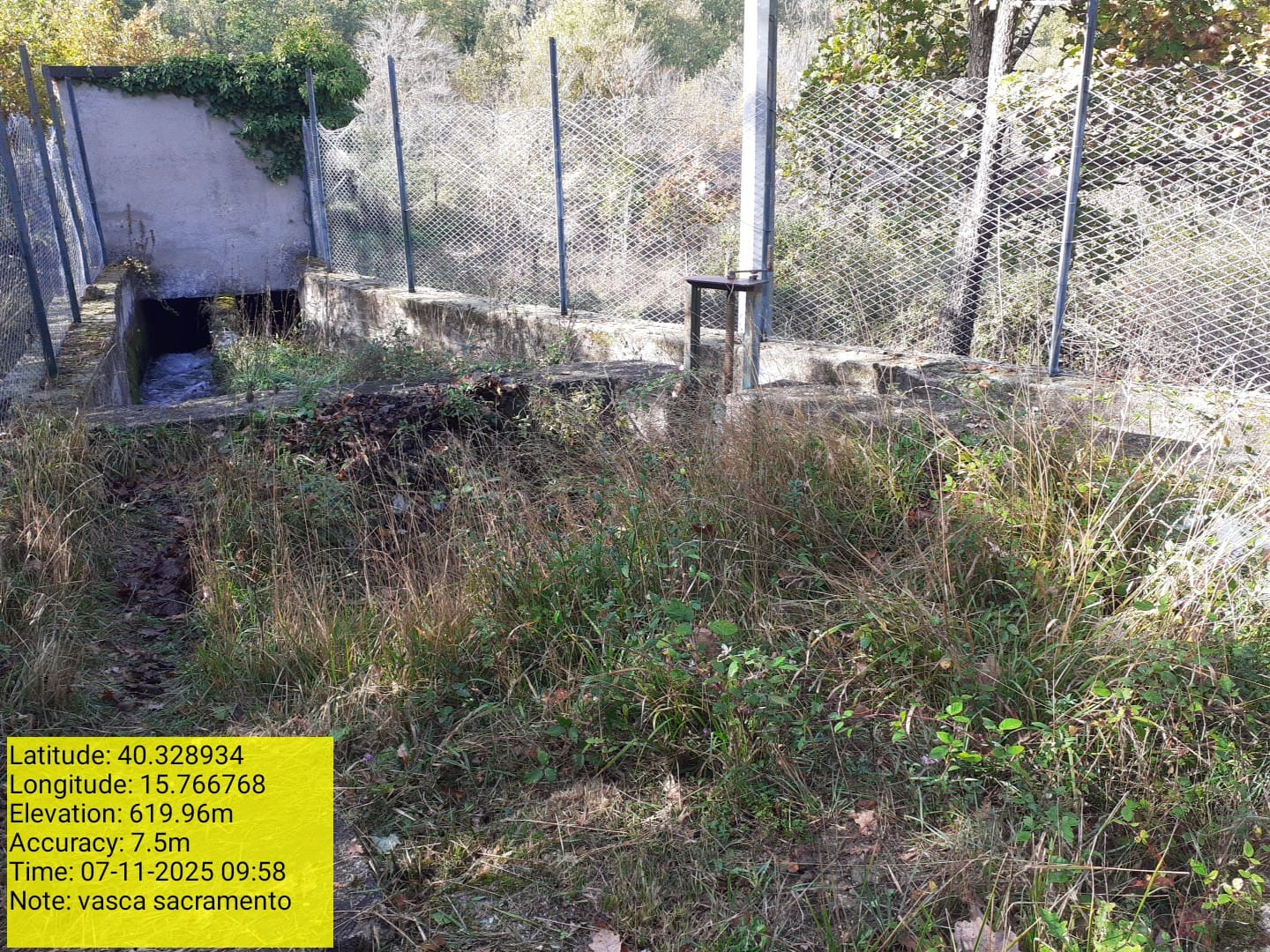 Galleria Fotografica Immagine