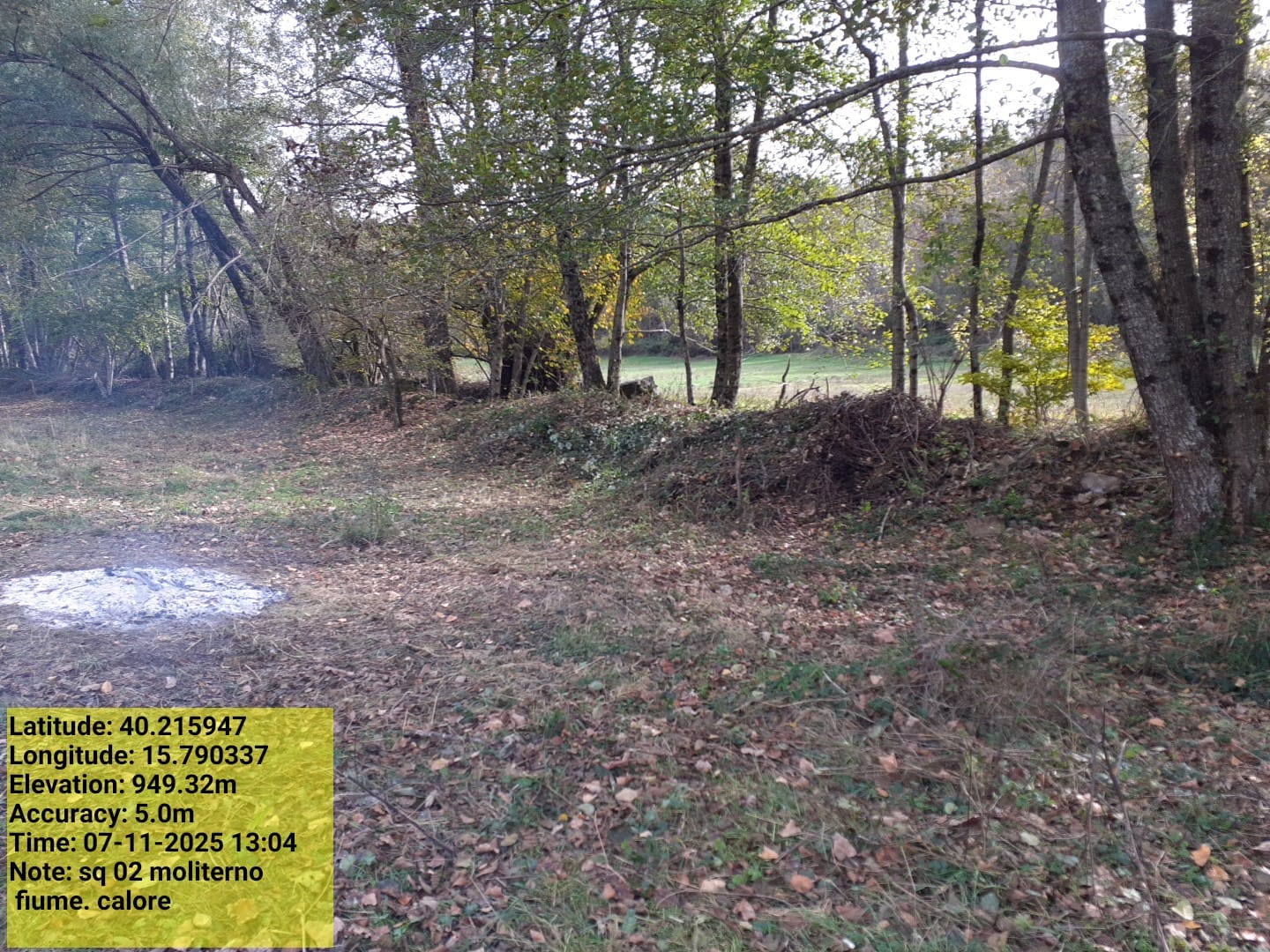 Galleria Fotografica Immagine