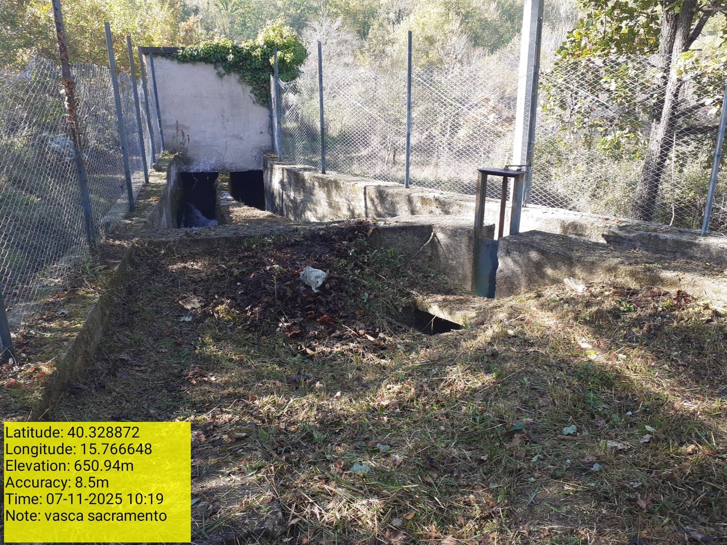 Galleria Fotografica Immagine