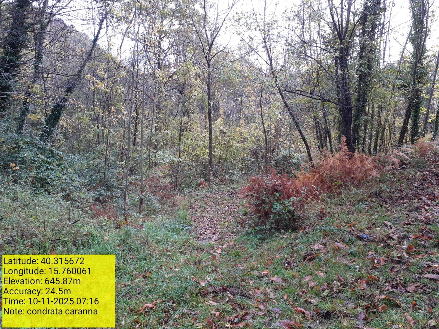 Galleria Fotografica Immagine