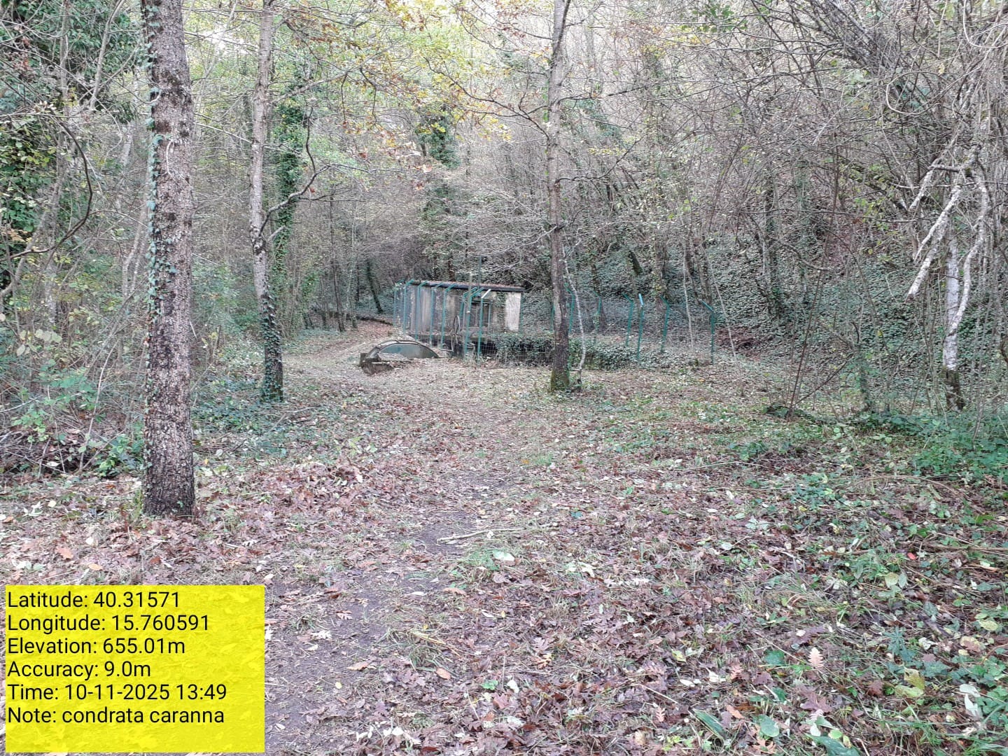 Galleria Fotografica Immagine