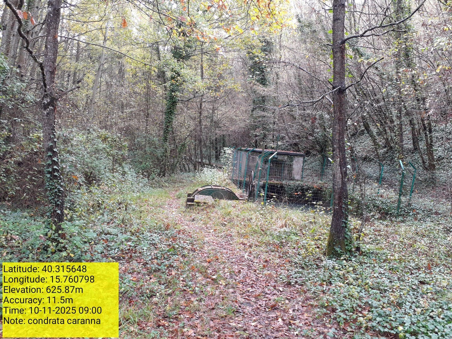 Galleria Fotografica Immagine