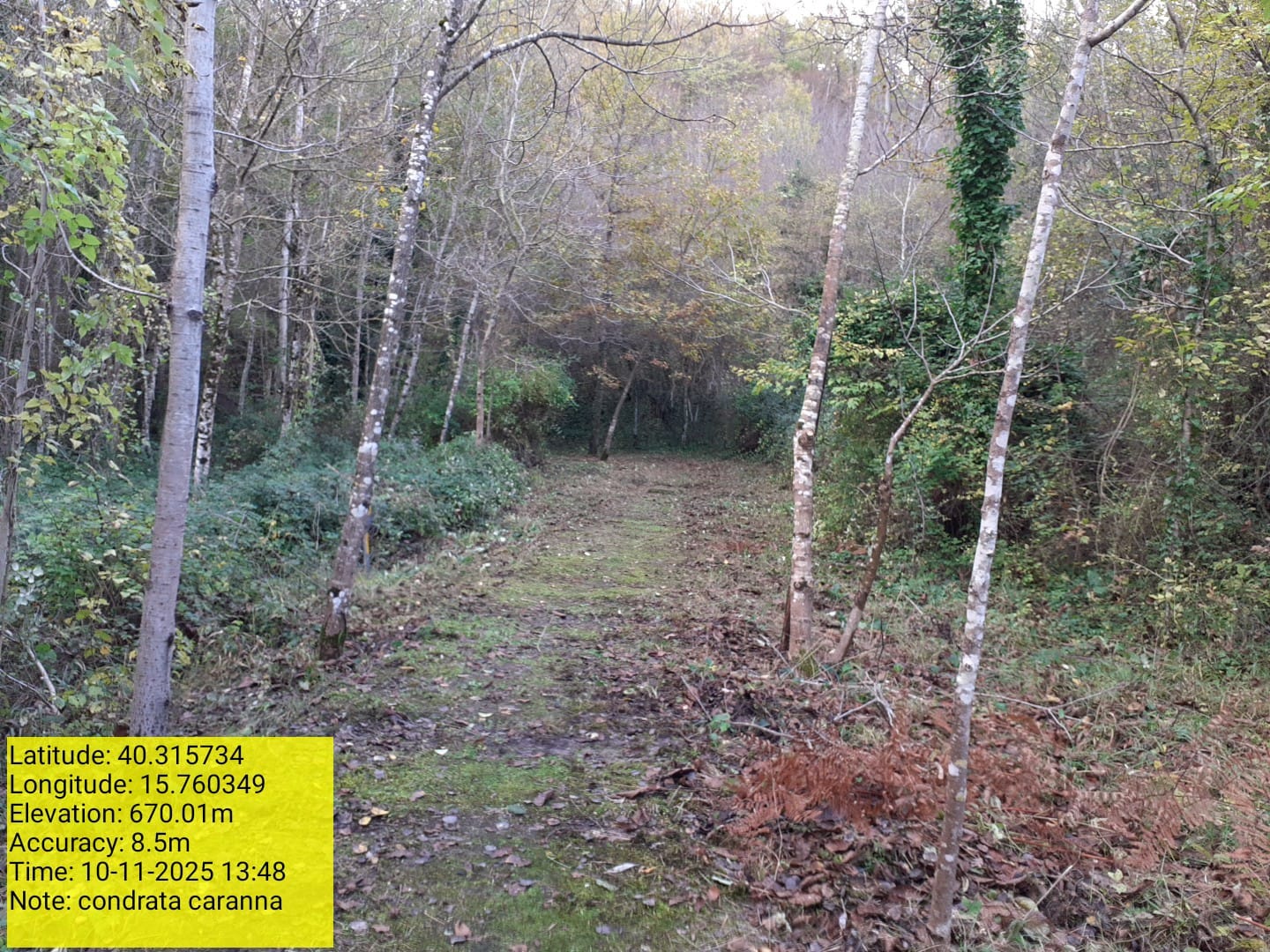 Galleria Fotografica Immagine