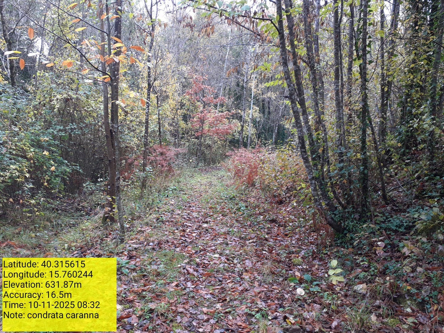 Galleria Fotografica Immagine