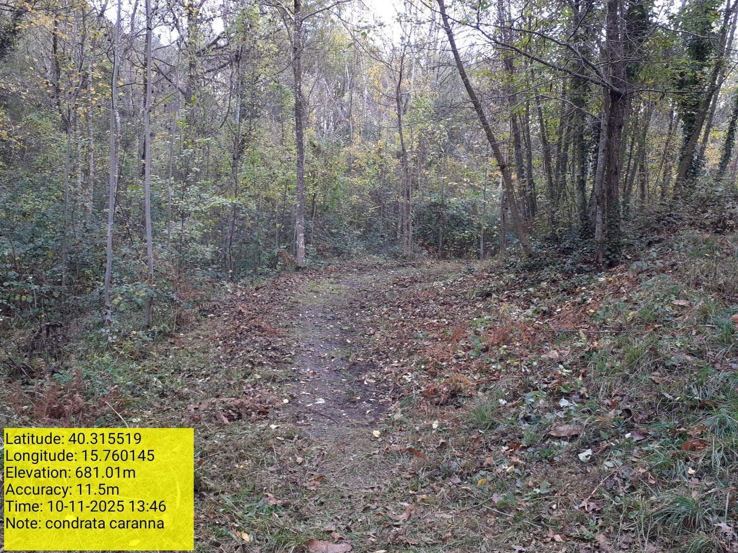 Galleria Fotografica Immagine