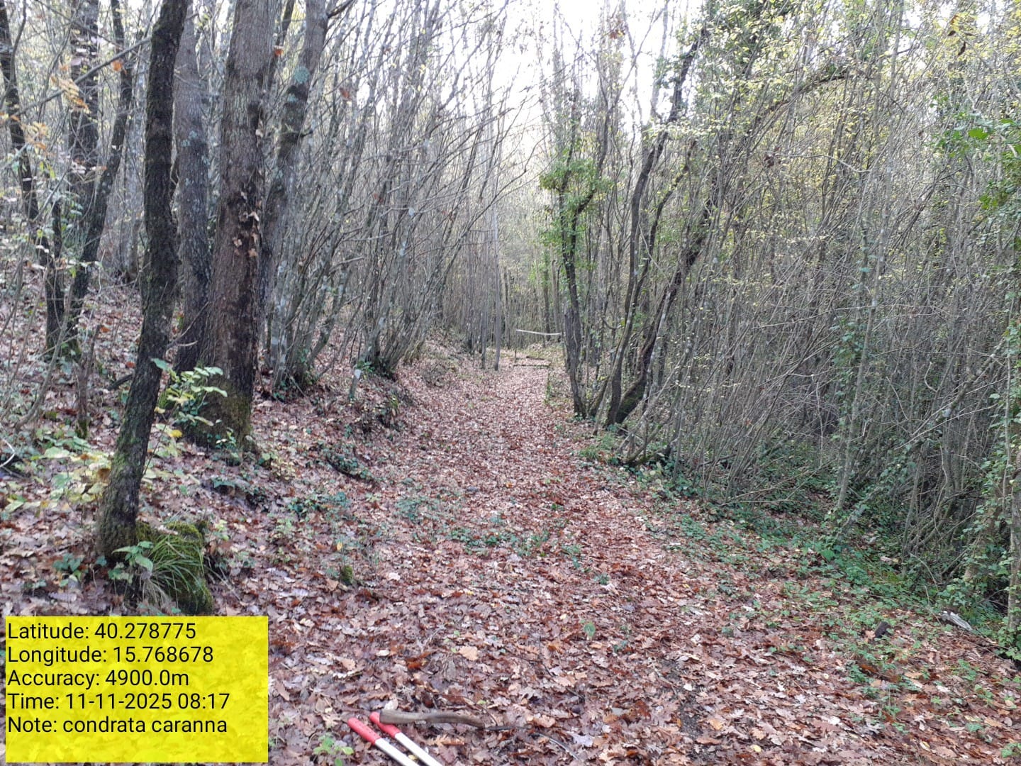 Galleria Fotografica Immagine