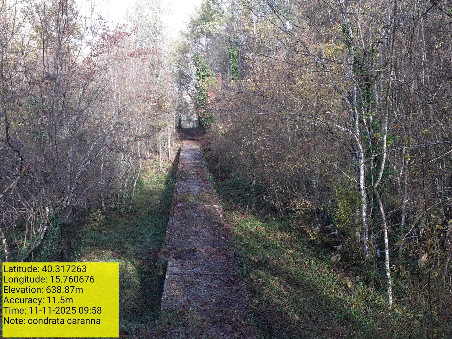 Galleria Fotografica Immagine