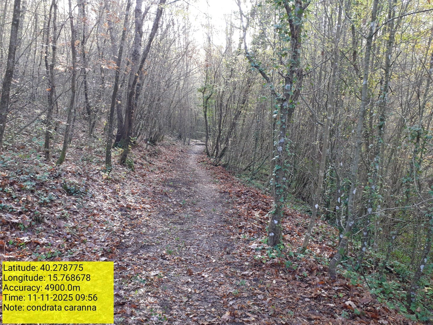 Galleria Fotografica Immagine