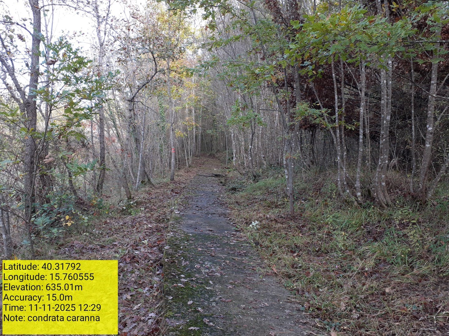 Galleria Fotografica Immagine