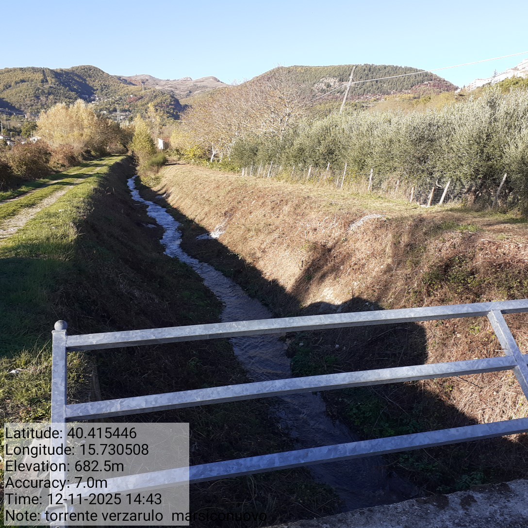 Galleria Fotografica Immagine