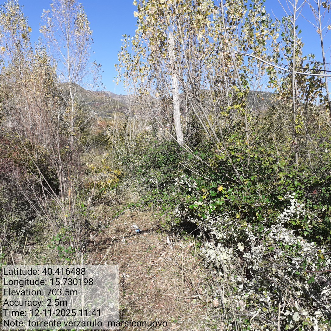 Galleria Fotografica Immagine