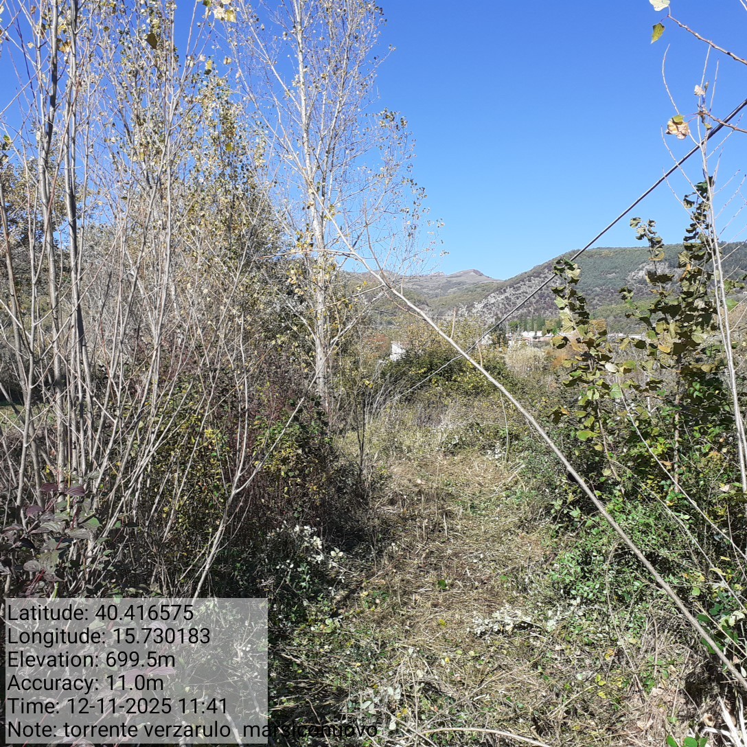 Galleria Fotografica Immagine