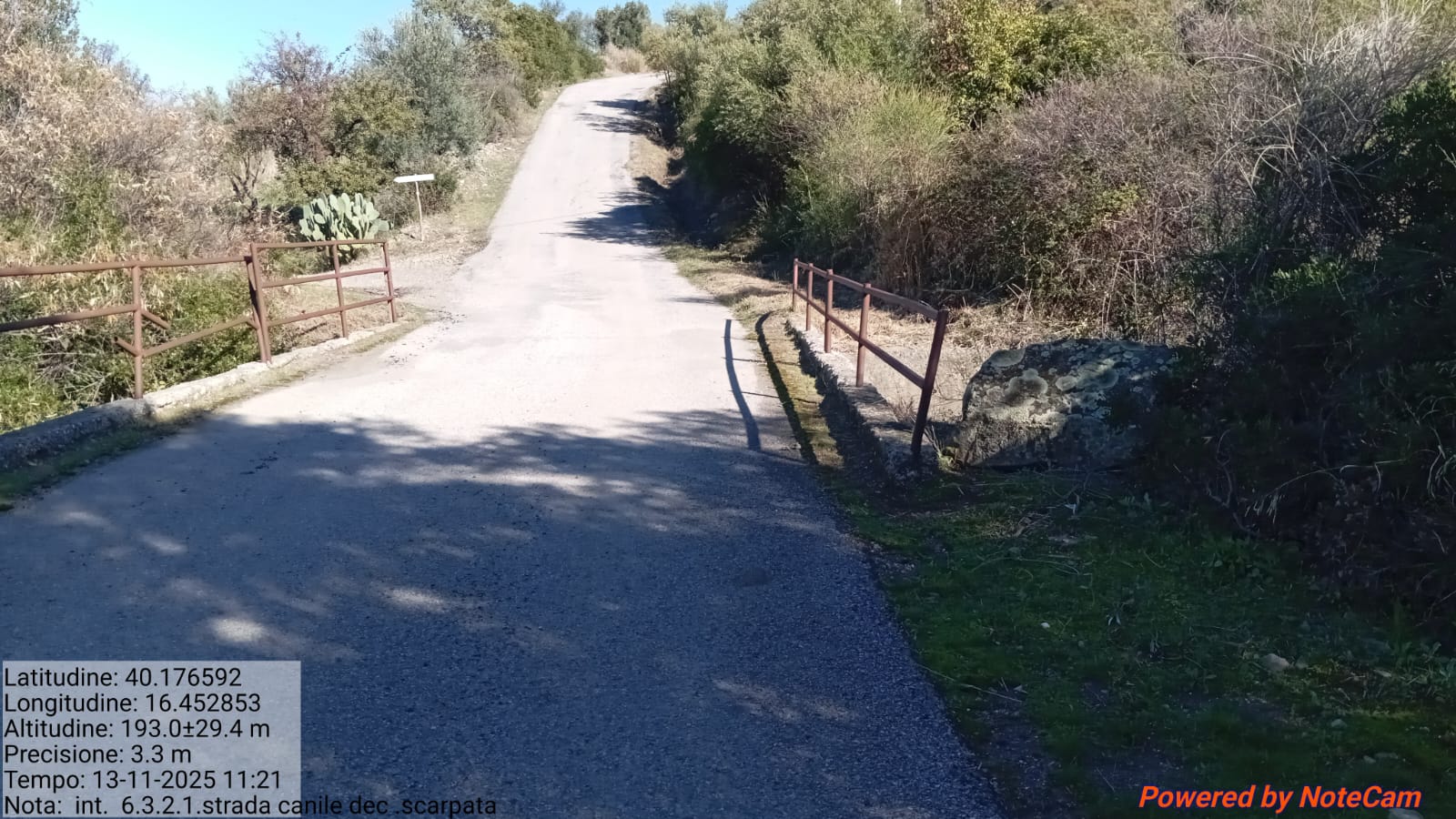 Galleria Fotografica Immagine