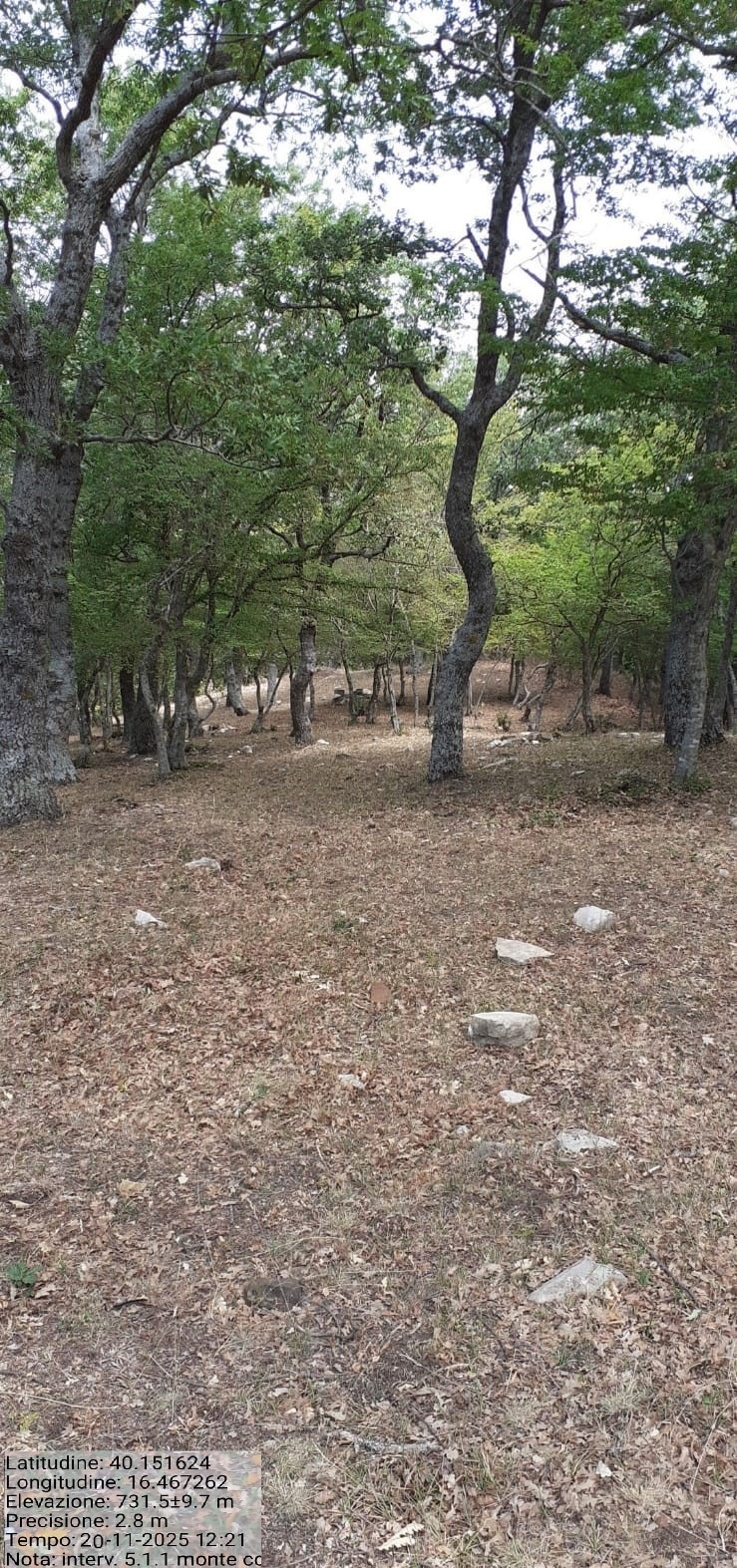 Galleria Fotografica Immagine