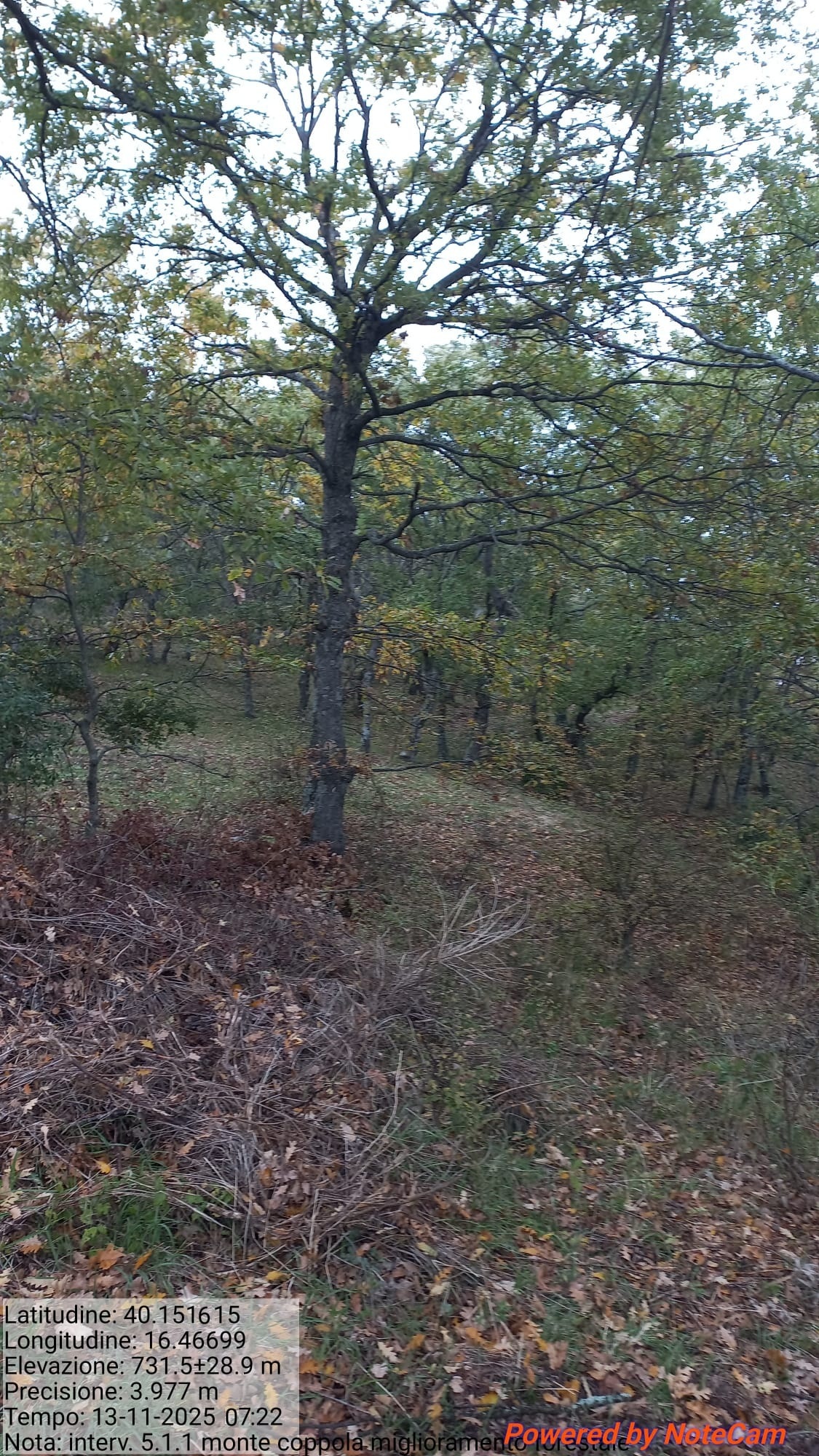 Galleria Fotografica Immagine