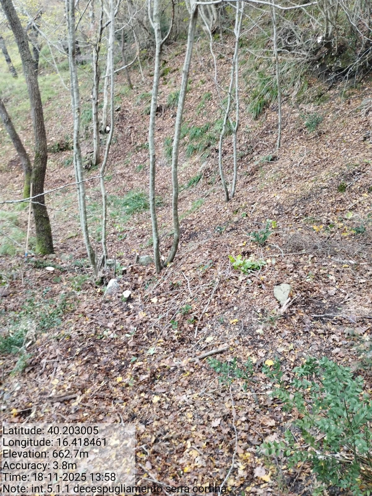 Galleria Fotografica Immagine