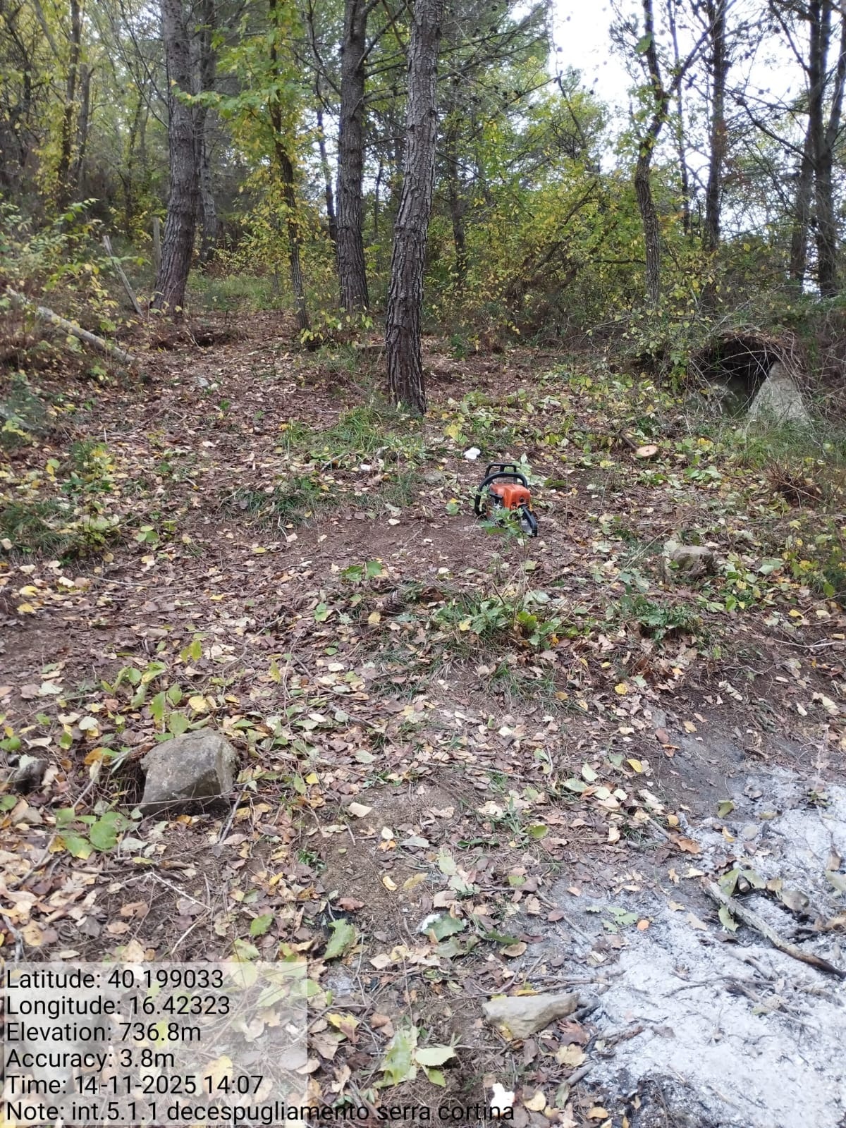 Galleria Fotografica Immagine