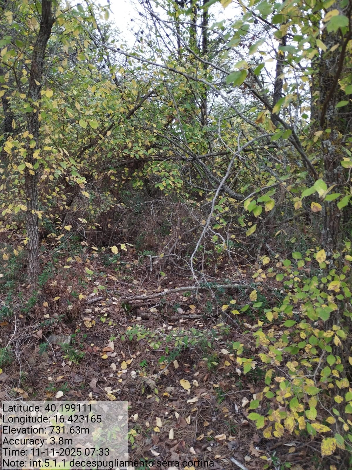 Galleria Fotografica Immagine