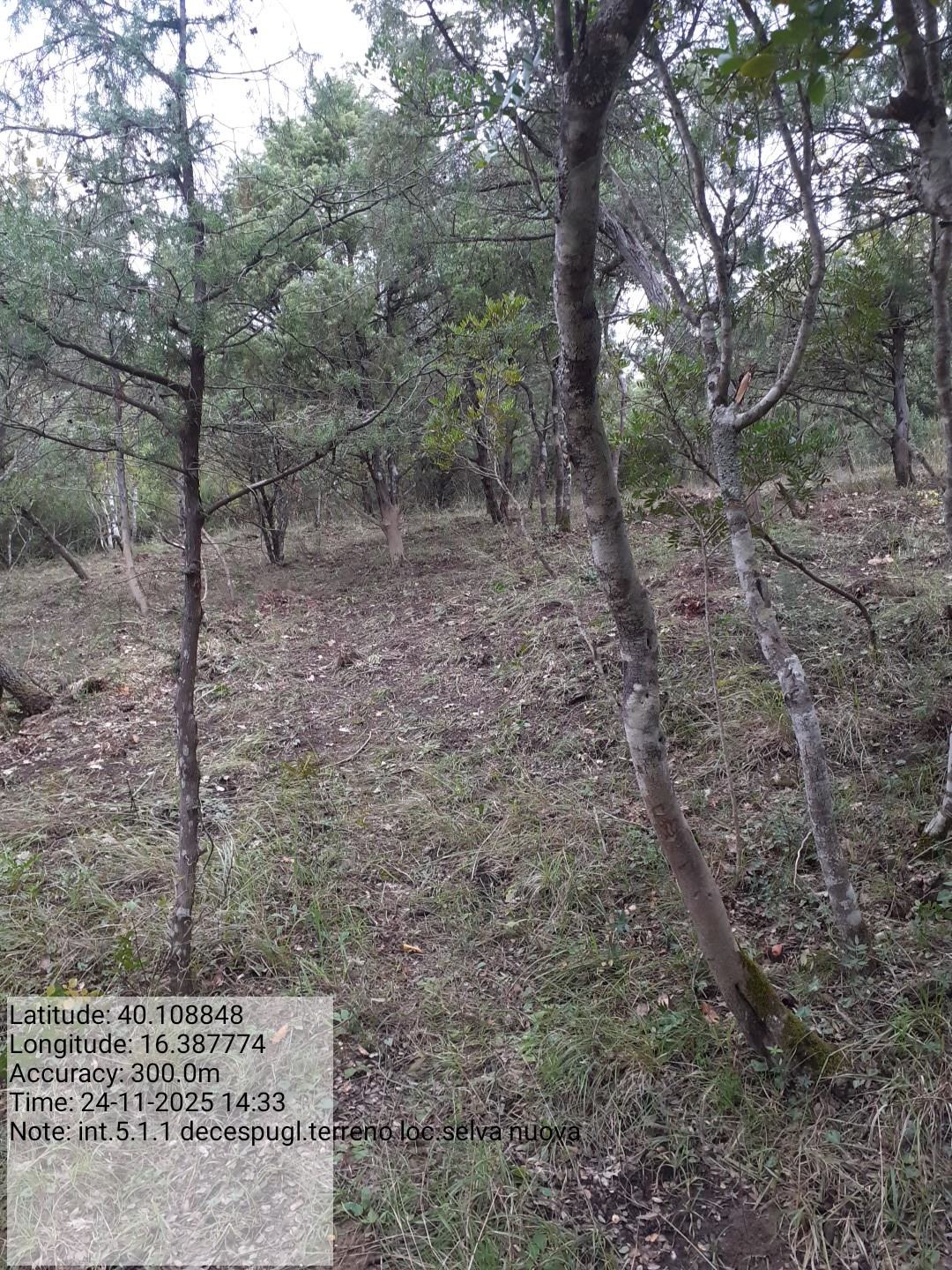 Galleria Fotografica Immagine